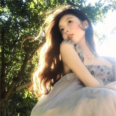我的会长大人